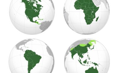 Africas, Americas, Asia & Pacific